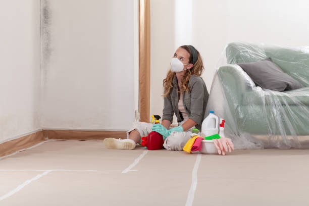 Reliable Mold Remediation contractor in Long Lake, IL by WQB Mold Removal
